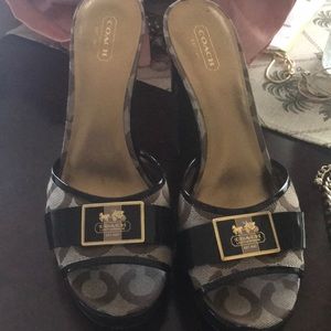 Coach size 9.5 scandal